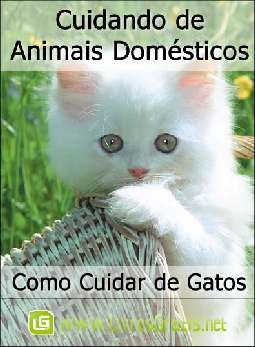 Como Cuidar De Gatos Doméstico E Sensível - Frete Grátis